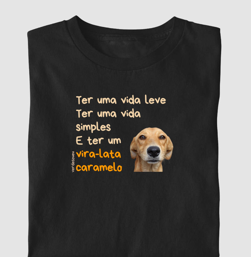Ter um vira-lata caramelo