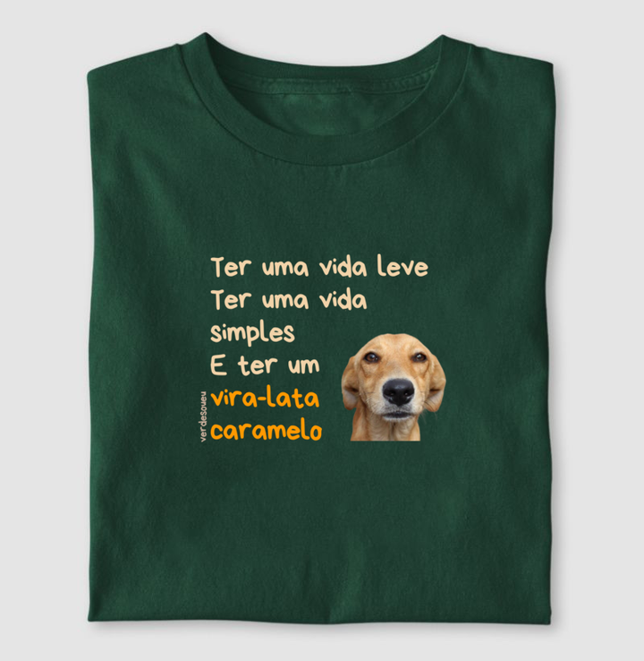Ter um vira-lata caramelo