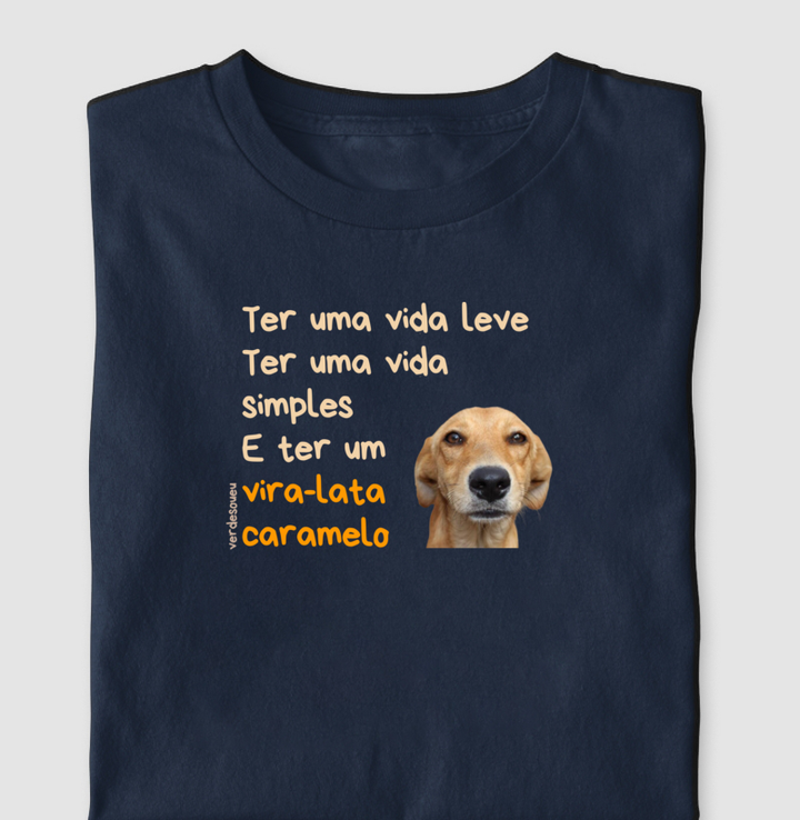 Ter um vira-lata caramelo