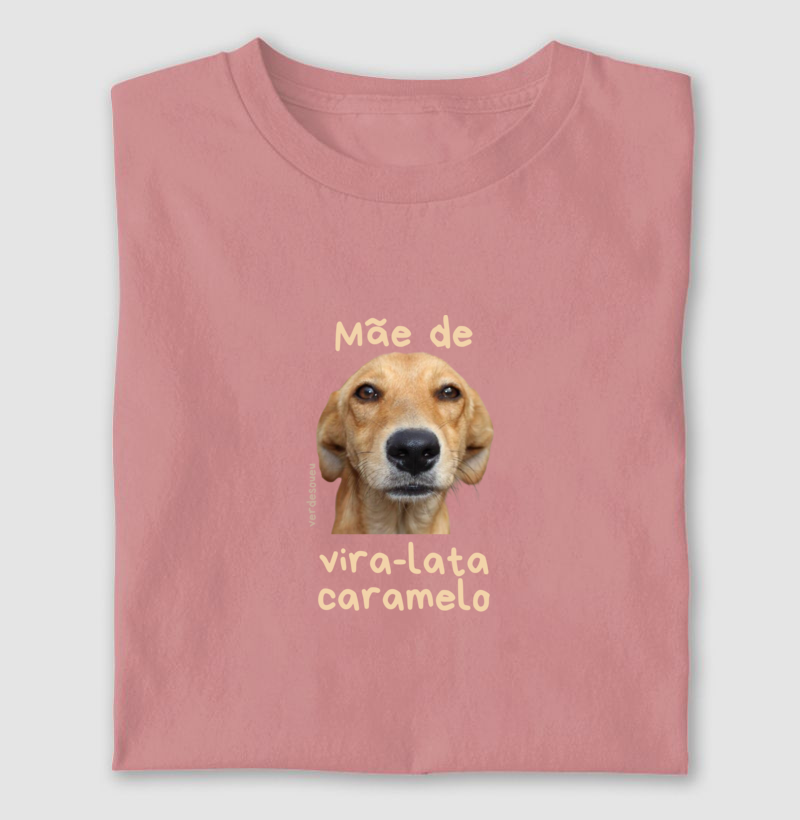 Mãe de vira-lata Caramelo